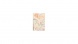 Lizzy heti tervező, B5 design, 2026, BEIGE FLOWERS