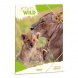 Ars Una A4 Gumis mappa Icons of the Wild-Lions (5504) 25