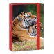 Ars Una A4 füzetbox Serenity-tiger (5332) 23