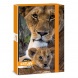 Ars Una A4 füzetbox Máté Bence-Lion (5433) 24