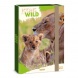 Ars Una A4 füzetbox Icons of the Wild-Lions (5504) 25