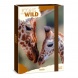 Ars Una A4 füzetbox Icons of the Wild-Giraffes (5505) 25