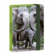 50863334 Ars Una A5 füzetbox Serenity-elephant (5333) 23