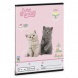 Ars Una 2732, négyzethálós A5 füzet Cute animals-tea party (5532) 26
