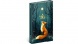 5413-FO Reálszisztéma Heti beosztású, mágnessel záródó határidőnapló, 12,5 x 20,8 cm Fox (2026)