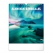 6087-AB Reálszisztéma Falinaptár Aurora Borealis 30 × 34 cm (2026)