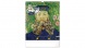 6087-VG Reálszisztéma Falinaptár Vincent van Gogh 30 × 34 cm (2026)