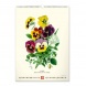 6094-HE Reálszisztéma Falinaptár Vintage Posters – Herbarium 33 × 46 cm (2026)