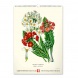 6094-HE Reálszisztéma Falinaptár Vintage Posters – Herbarium 33 × 46 cm (2026)