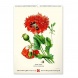 6094-HE Reálszisztéma Falinaptár Vintage Posters – Herbarium 33 × 46 cm (2026)