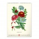 6094-HE Reálszisztéma Falinaptár Vintage Posters – Herbarium 33 × 46 cm (2026)