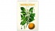 6094-HE Reálszisztéma Falinaptár Vintage Posters – Herbarium 33 × 46 cm (2026)