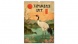 6094-JA Reálszisztéma Falinaptár Vintage Posters – Japanese Art 33 × 46 cm (2026)