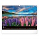 6094-LA Reálszisztéma Falinaptár Landscapes 48 × 33 cm (2026)