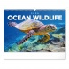 6094-OC Reálszisztéma Falinaptár Ocean Wildlife 48 × 33 cm (2026)
