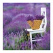 6096-PR Reálszisztéma Lemeznaptár Provence 30 × 30 cm (2026)