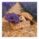 6096-PR Reálszisztéma Lemeznaptár Provence 30 × 30 cm (2026)