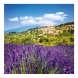 6096-PR Reálszisztéma Lemeznaptár Provence 30 × 30 cm (2026)