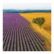 6096-PR Reálszisztéma Lemeznaptár Provence 30 × 30 cm (2026)