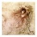 6097-LV Reálszisztéma Lemeznaptár Leonardo da Vinci 30 × 30 cm (2026)