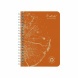 Clairefontaine spirálfüzet (A6, 60lap, vonalas, 5-féle) Forever Premium (4)