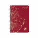 Clairefontaine spirálfüzet (A6, 60lap, vonalas, 5-féle) Forever Premium (4)