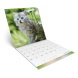 LIZZYCALENDAR FALINAPTÁR LEMEZ NAGY 29x29 CICÁK