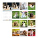 LIZZYCALENDAR FALINAPTÁR LEMEZ NAGY 29x29 KUTYÁK