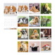 LIZZYCALENDAR FALINAPTÁR LEMEZ NAGY 29x29 LITTLE FRIENDS