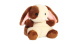 Herma plüss, (10 cm) nyuszi, Clover 26701