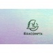 Exacompta bemutató mappa, A4, 30 tasakos, irizáló, 4 féle szín, Candy Tidy (6)