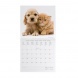 CAL260005 Legami falinaptár (30x29 cm) Best Friends, állatos 2026
