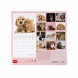 CAL260005 Legami falinaptár (30x29 cm) Best Friends, állatos 2026