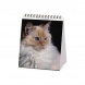 CAL260145 Legami asztali naptár (12x14,5 cm) cicás 2026