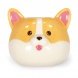 Legami illatosított gyertya corgi kutya HOME