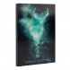 Grupo Erik 3D notesz (A5), Harry Potter