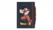 Grupo Erik prémium A5 notesz projektoros tollal, Dragon Ball