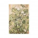 Paperblanks határidőnapló 2026, Cezannes Terracotta Pots and Flowers Mini, HOR