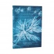 Paperblanks butikkönyv, Anna Atkins’ Cyanotypes, Sea Flowers, Midi, von. MEGSZ.