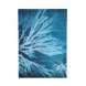 Paperblanks butikkönyv, Anna Atkins’ Cyanotypes, Sea Flowers, Midi, von. MEGSZ.