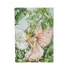 Paperblanks butikkönyv, Flower Fairies, Bindweed Fairy, Midi, von. MEGSZ.