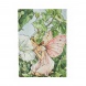 Paperblanks butikkönyv, Flower Fairies, Bindweed Fairy, Midi, sima MEGSZ.