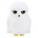 Grupo Erik éjjeli fény, Hedwig, Harry Potter (5)