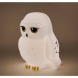 Grupo Erik éjjeli fény, Hedwig, Harry Potter (5)