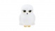 Grupo Erik éjjeli fény, Hedwig, Harry Potter (5)